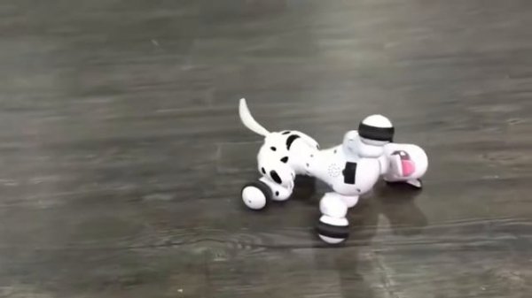 Радиоуправляемая робот собака долматинец