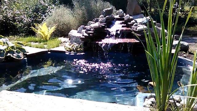 прудик с водопадом в саду. смотреть онлайн