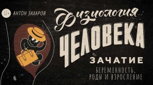 Зачатие, беременность, роды и взросление. Физиология человека — урок 25. (12+)