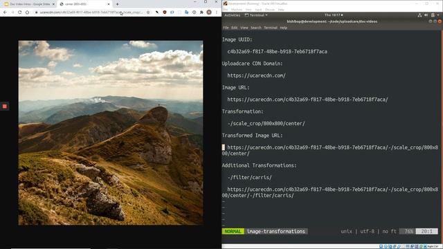 Image transformations: In Action смотреть онлайн