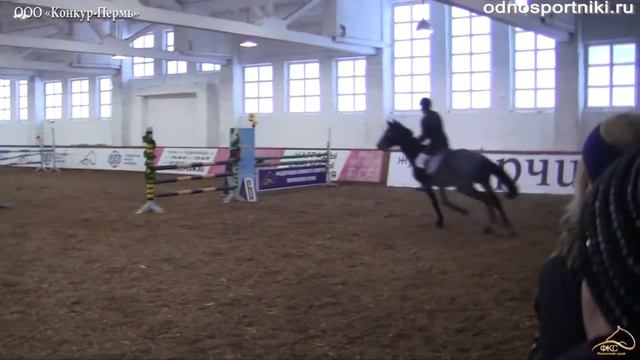 Конный спорт Кубок Федерации Пермь 110см охотничий смотреть онлайн