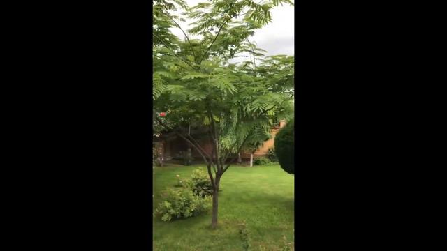 ЕКАТЕРИНОДАР - Я ХОЧУ БЫТЬ ОДИН УХОДИ. (CANZONE). (Солодкин Анненский, Солодкин) смотреть онлайн