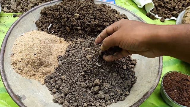 শীতের মরসুমি ফুলের জন্য মাটি তৈরীর পদ্ধতি//Soil mix for all winter flowers//টবের মাটি তৈরি смотреть онлайн