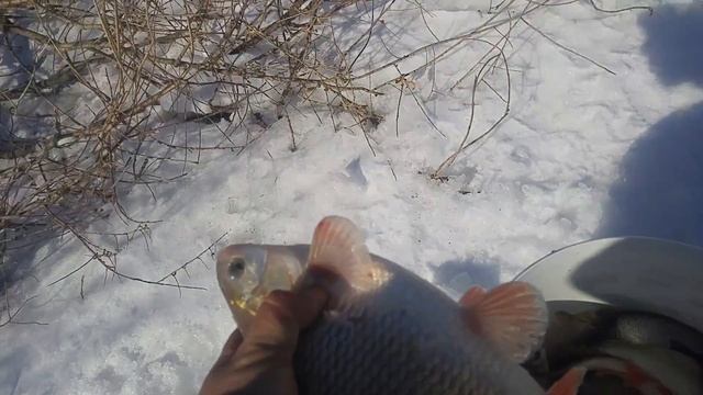 Рыбалка зимняя Нура смотреть онлайн