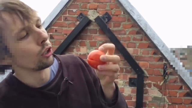Why you cannot eat tomato and cucumber at the same time смотреть онлайн