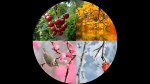 История возникновения цифр.