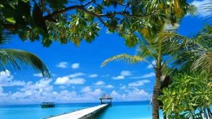 Крис Ри   И ты, моя любовь  Chris Rea   And you my love