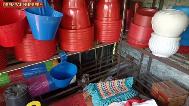 Best quality plastic pots available in my nursery ll cheapest plastic pots in Bareilly ll смотреть онлайн