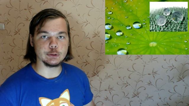 Что такое и как работает эффект лотоса? Или разговор о гидрофобных поверхностях смотреть онлайн