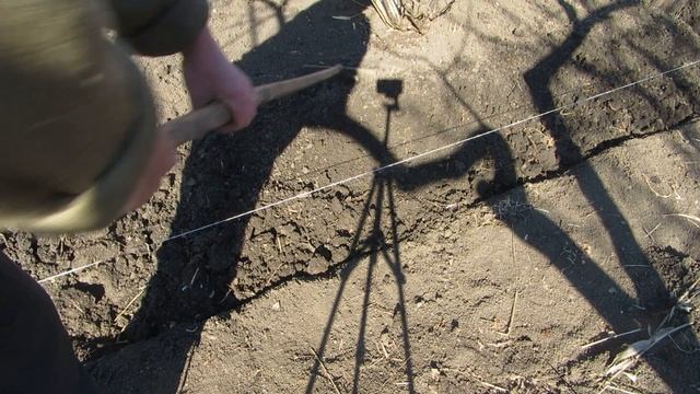 Сажаем картофель правильно смотреть онлайн