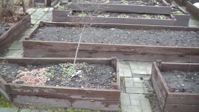 16 апреля 2022. Первый обзор сада с Владом! Кроты на участке! смотреть онлайн