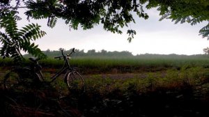 Красивое Чтение Корана Под Шум Дождя