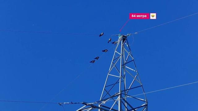 Crow Hunting 2021 Кроухантинг 4K 30fps смотреть онлайн