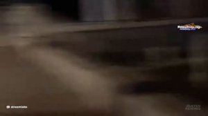 СТРОГО ПОЦЕЛОВАЛ ГЕНСУХУ \ ГЕНСУХА ОТШИЛА КОРЕША \ СТРОГО ПОДАРИЛ РОЗУ ГЕНСУХЕ | Отдых Сочи