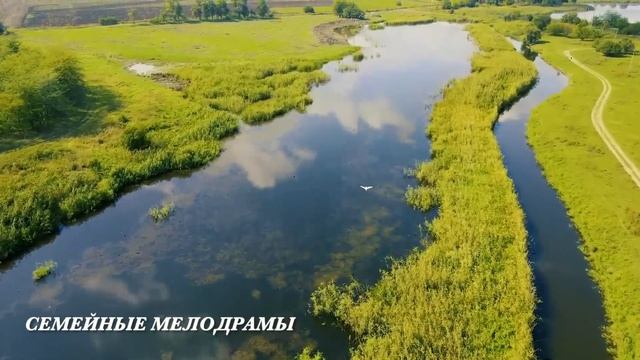 Свекровь унизила невестку, но не учла одну важную деталь... смотреть онлайн