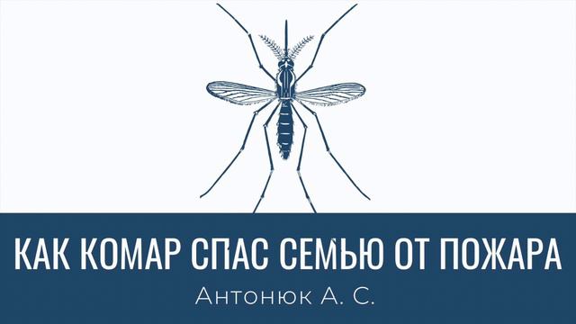 Как комар спас семью от пожара | Пример из проповеди Антонюк А. С. смотреть онлайн