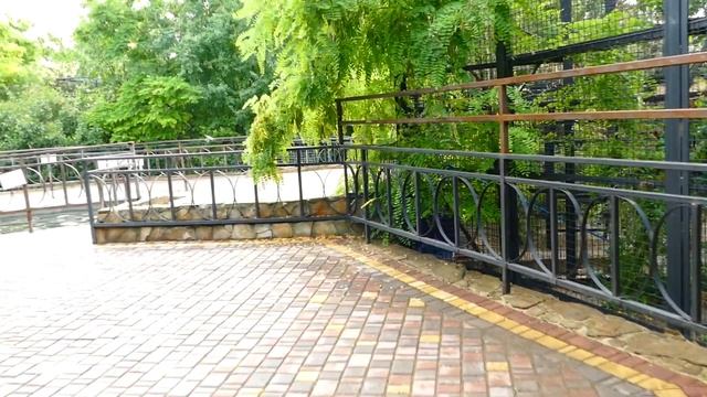 Путешествие в Крым на машине 12 парк львов 