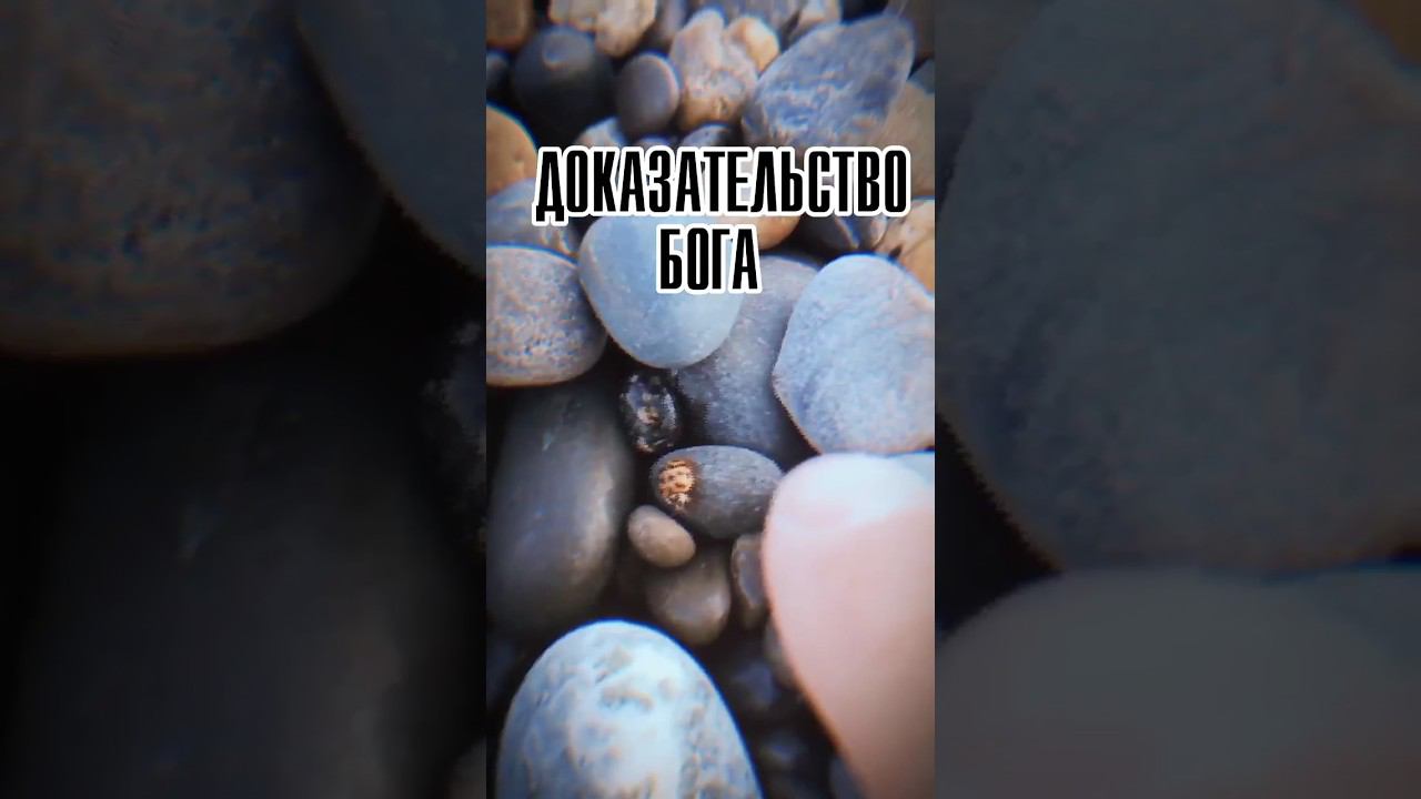 Ты поверишь в Бога увидев это!