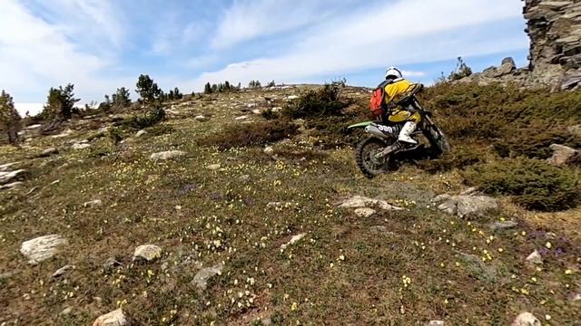 17 мая 2020 года Риддер смотреть онлайн