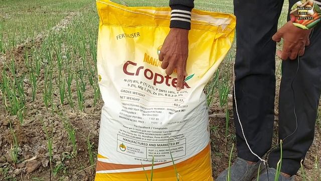 कांद्यासाठी एक नंबर खत |महाधन क्राॅपटेक 8:21:21 |कांदा खत व्यवस्थापन |कांदा खत |krushi varta channe смотреть онлайн