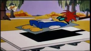 Дятел Вуди Вудпекер с 111 115 серию