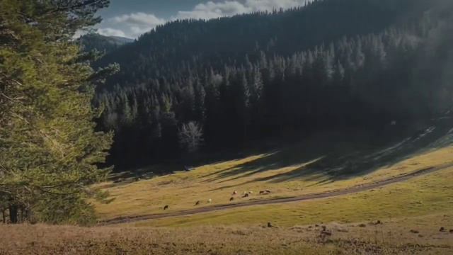 Спогади осінніх походів у гори . Кінні прогулянки ,походи в гори😍 смотреть онлайн