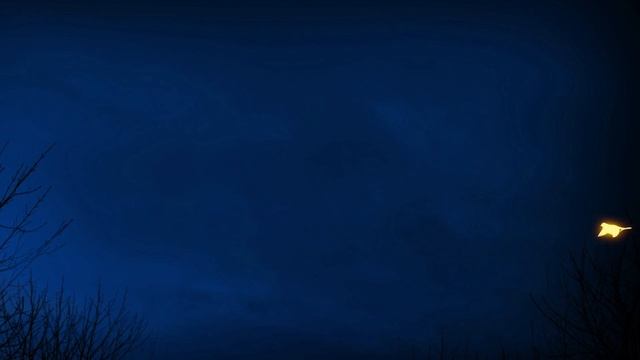 CAT GAMES - Amazing Glowing Birds (Video for Cats to watch) 1 Hour 60FPS смотреть онлайн