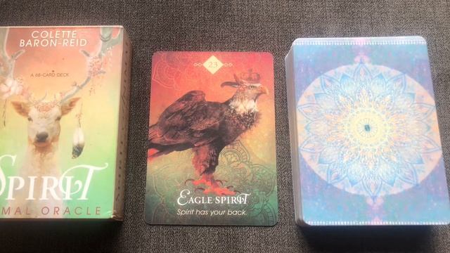 The Spirit Animal Oracle 23/68 Eagal guide book audio description смотреть онлайн