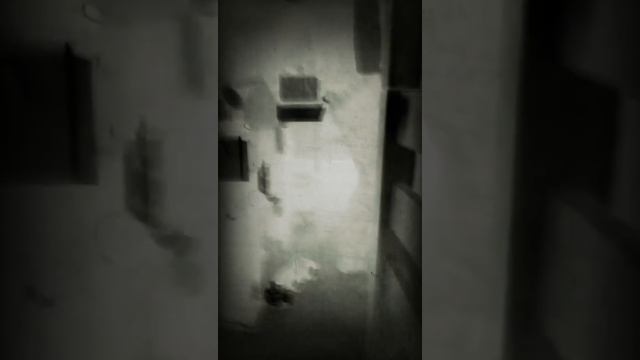 Let´s Watch ? ?"Zombis ☣️ in unserem ☣️ Dorf-Teil2"? ? by the Kidz смотреть онлайн