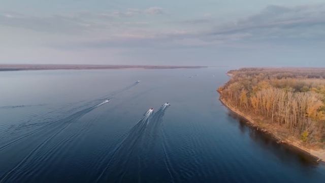 PAL 2019. Финал.