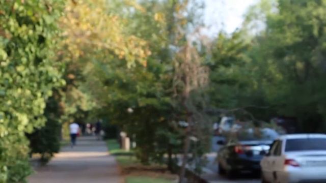 Улица Айманова - пустыня. Акимату - позор! смотреть онлайн