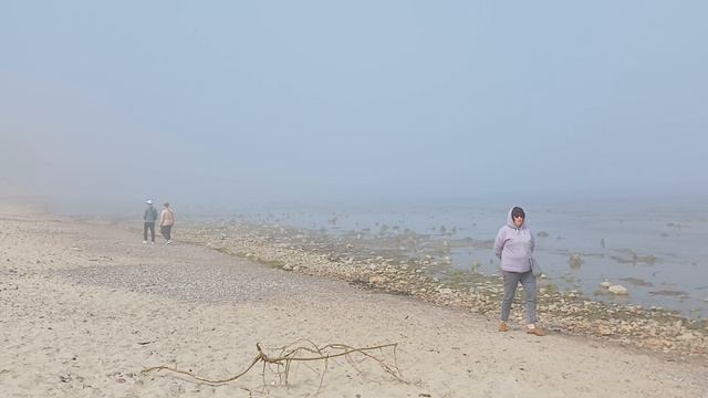 Балтийское море ушло, но обещало вернуться. Зеленоградск. Совсем свежее смотреть онлайн