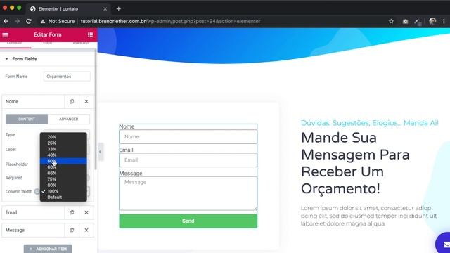 Como Criar um Formulário de Contato - Com Elementor Pro смотреть онлайн