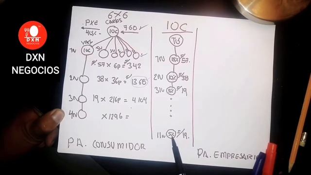 #DXN #PLAN DE #MARKETING #I.O.C - CARLOS GONZALES (SD) смотреть онлайн
