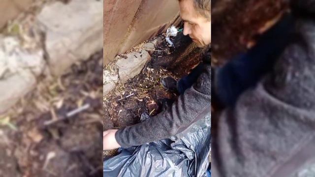 как мы с Толей баяны собирали смотреть онлайн