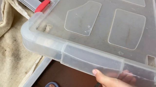 Vlog / мы раздаём котят 😦?!/ как на это реагирует кошечка Мия?/ смотреть онлайн