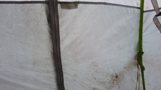 Варю ВОЛС под контролем. смотреть онлайн