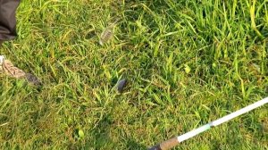 Рыбалка Пор Искитим 2020 / Ловля крупного Карася