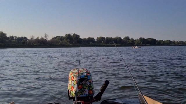 Волга.Никольский Яр.15.07.2021.Ловля сазана. смотреть онлайн