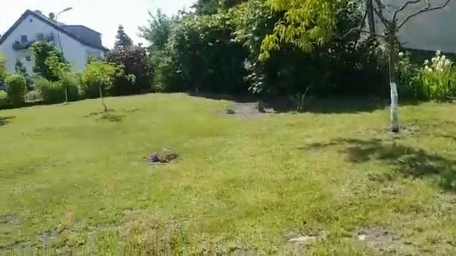 Видео 3 недели назат снято | Дача Германия смотреть онлайн