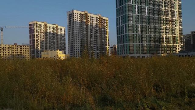 Балтийская Жемчужина [2020] смотреть онлайн