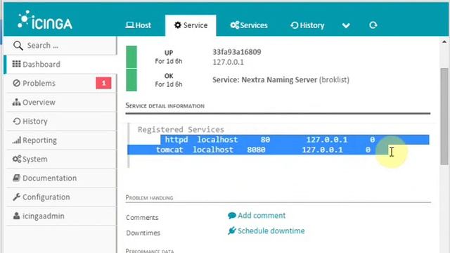 Naming server plugin for Icinga смотреть онлайн