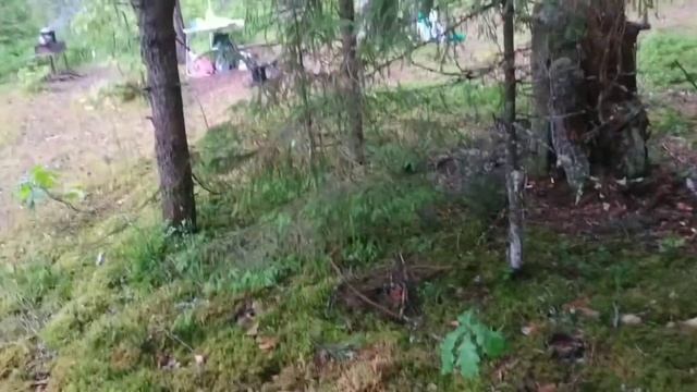 суп из утки, шашлык и чудо чудное