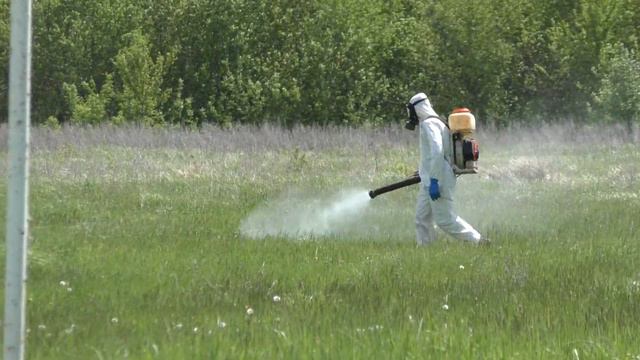 Клещам не рады смотреть онлайн