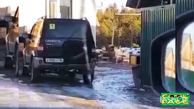 Медведь лезет в жилой дом на окрайне деревни. Ноябрь 2020 Russian bear is attacking the house смотреть онлайн