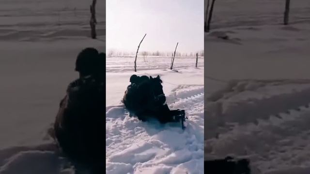 Жылқы жануар естіғой шіркін ? смотреть онлайн