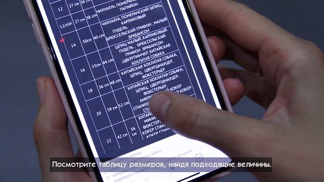 Как правильно подобрать размер одежды для собак от ForMyDogs смотреть онлайн