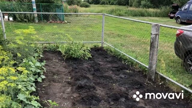 Приехал с отдыха! И опять за работу! Что сажать после чеснока? смотреть онлайн