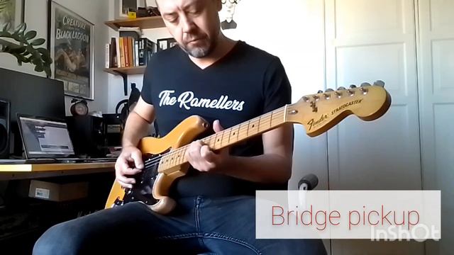 1979 Fender Stratocaster Hard Tail - Sound Test (No Talking) смотреть онлайн