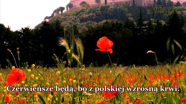 Czerwone Maki Na Monte Cassino – Adam Aston [A]♬